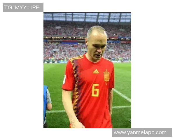 足球明星评价库官网全面解析全球足球巨星表现与成就