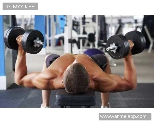 哑铃价格揭秘每公斤多少钱适合不同需求的健身爱好者选择指南